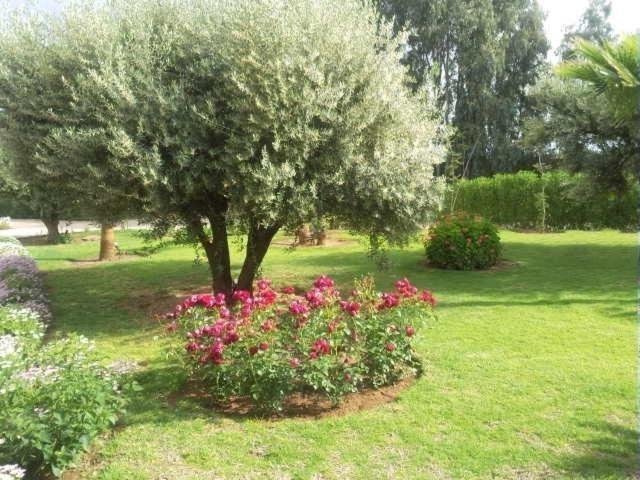 Marrakech African Queen Bed and Breakfast Azib Oulad Lâdem Buitenkant foto